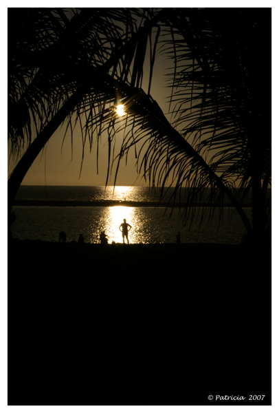 Image Hosted by ImageShack.us
